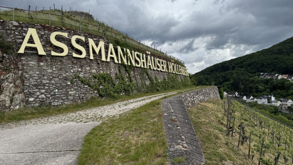 Assmannshausen Höllenberg vineyard above the Rhine
