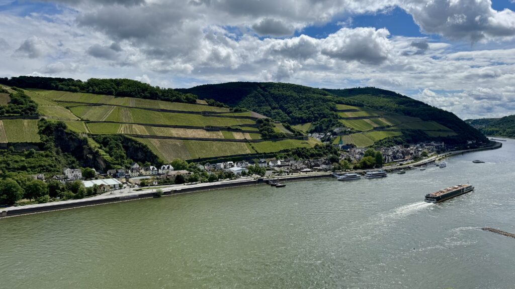 Terraced vineyards above the Rhine